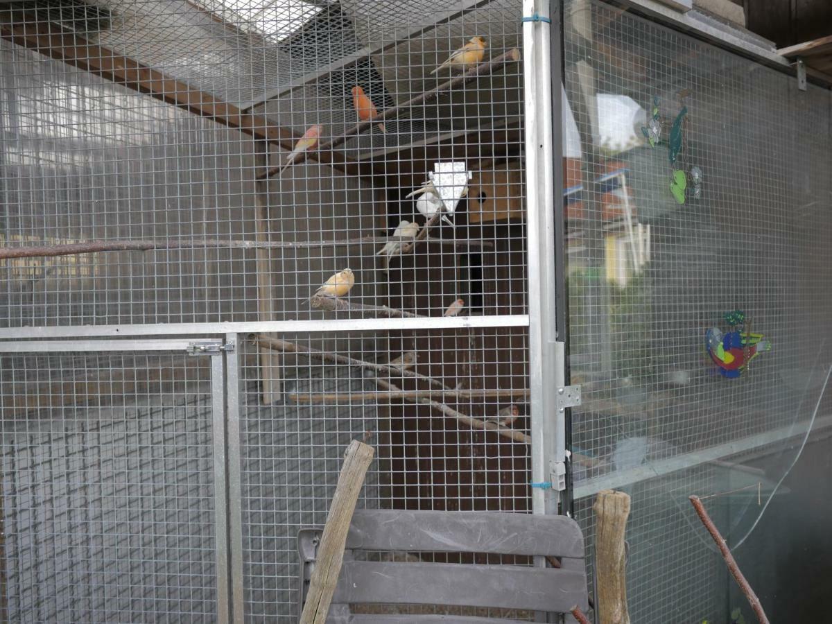 Zimmervermietung Am Teutoburger Wald Lage  Luaran gambar